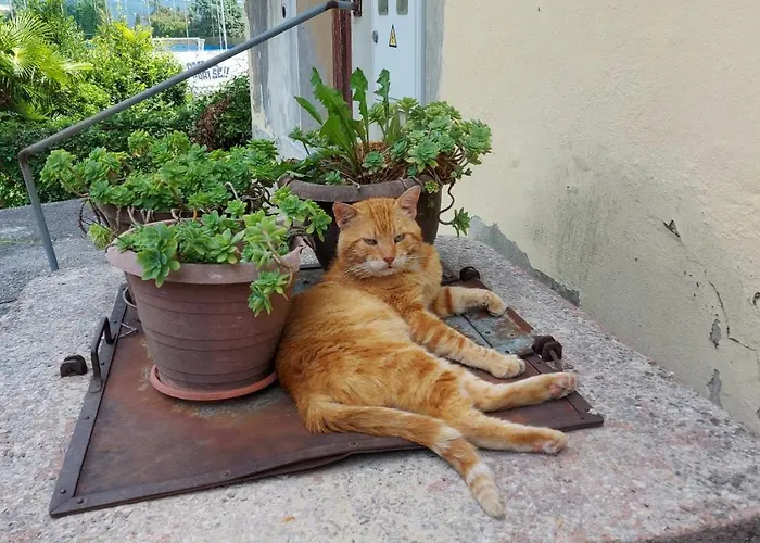 Apartment Tina